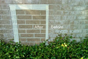 Ground level tan brick wall before and after efflorescence removal